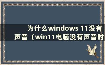 为什么windows 11没有声音（win11电脑没有声音时如何恢复声音）
